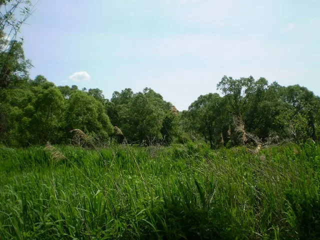 Фотографии.